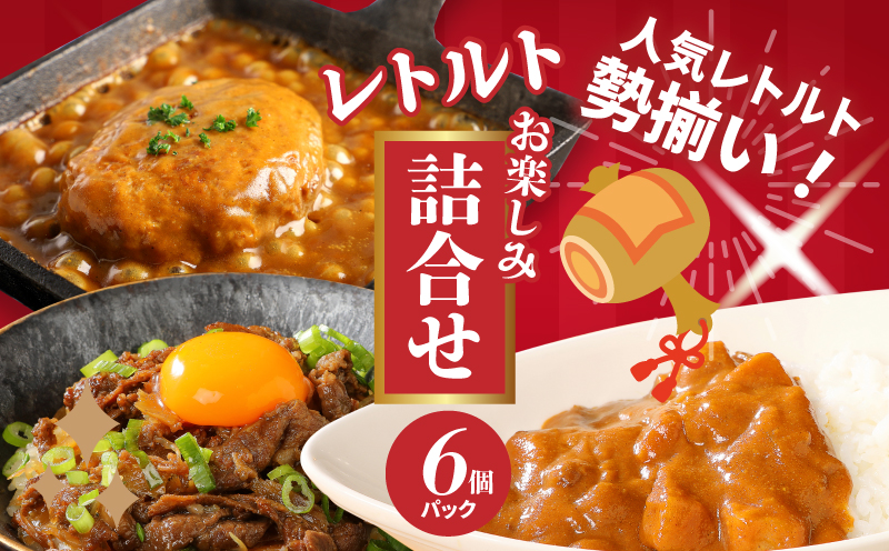 福袋 お楽しみレトルト詰め合わせ6パックセット _K16_0072_2