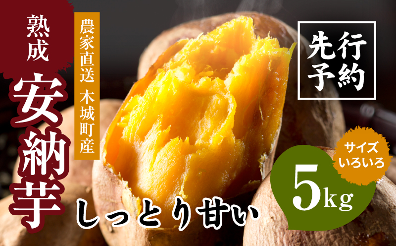 農家直送　木城町産　熟成安納いも5kg K30_0001_1