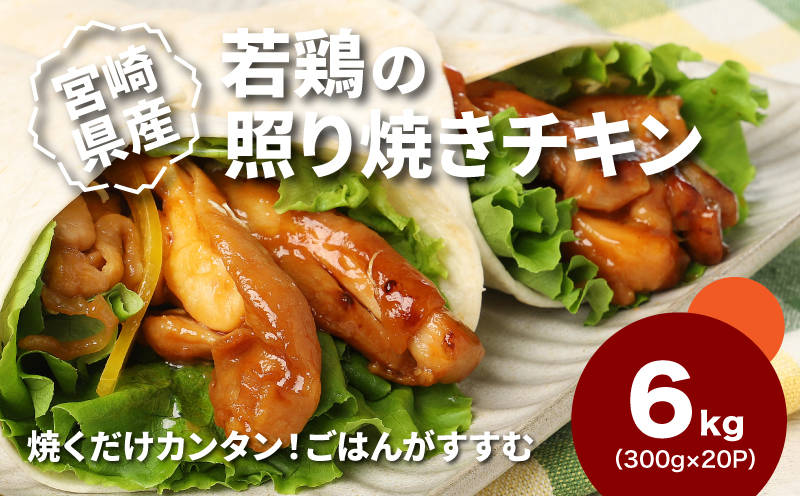 宮崎県産若鶏の照り焼きチキン 小分け 6?_K16_0167_1