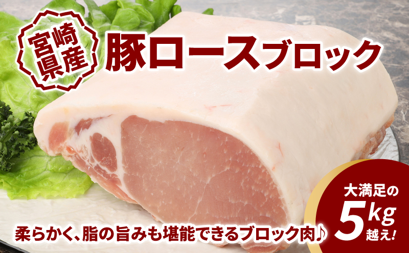 宮崎県産豚ロースブロック　5kg越え K16_0058_1