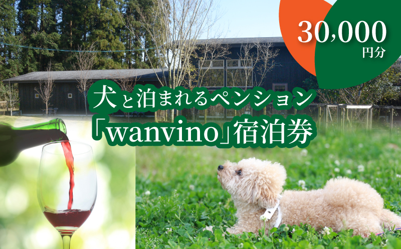 ＜犬と泊まれるペンション「wanvino」３万円分宿泊券＞ K15_0001
