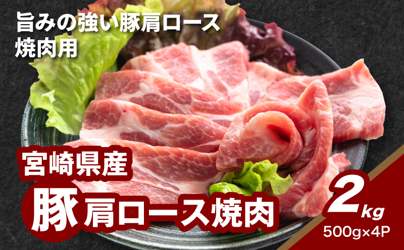 宮崎県産豚肩ロース焼肉 2?_K16_0174_1
