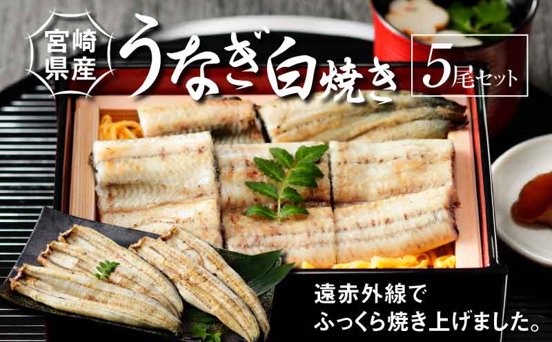 宮崎県産うなぎ白焼き 5尾セット_K10_0012_3