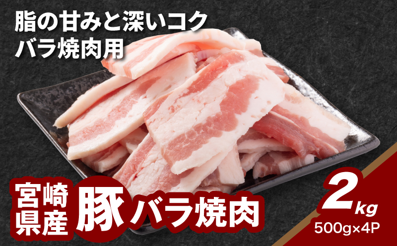 宮崎県産豚バラ焼肉 2?_K16_0187_1