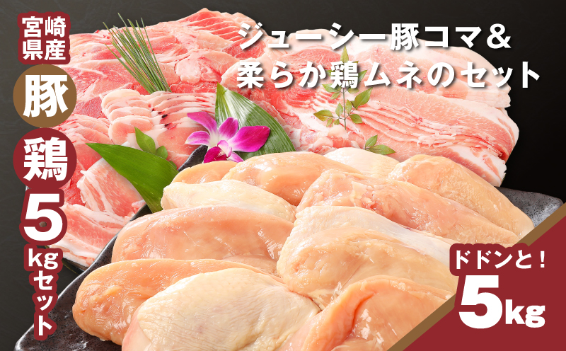 宮崎県産豚2?・鶏ムネ3?計5?セット_K16_0015_11