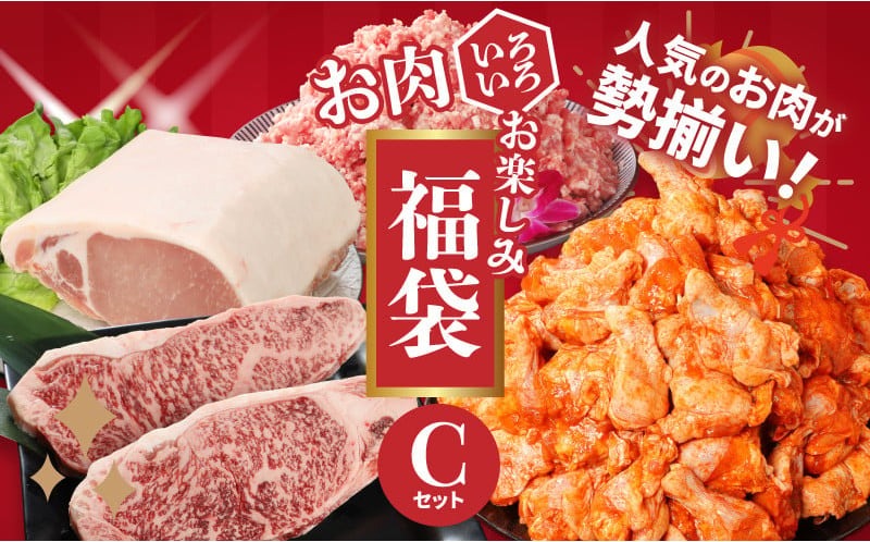 福袋 木城町 お肉いろいろお楽しみセットC _K16_0071_3