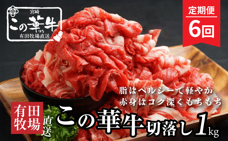 有田牧場直送この華牛切り落とし900g  ６ヶ月定期便　K20_T002_1