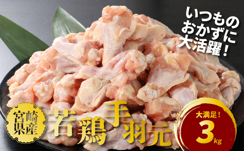 宮崎県産若鶏手羽元3?_K16_0086_1