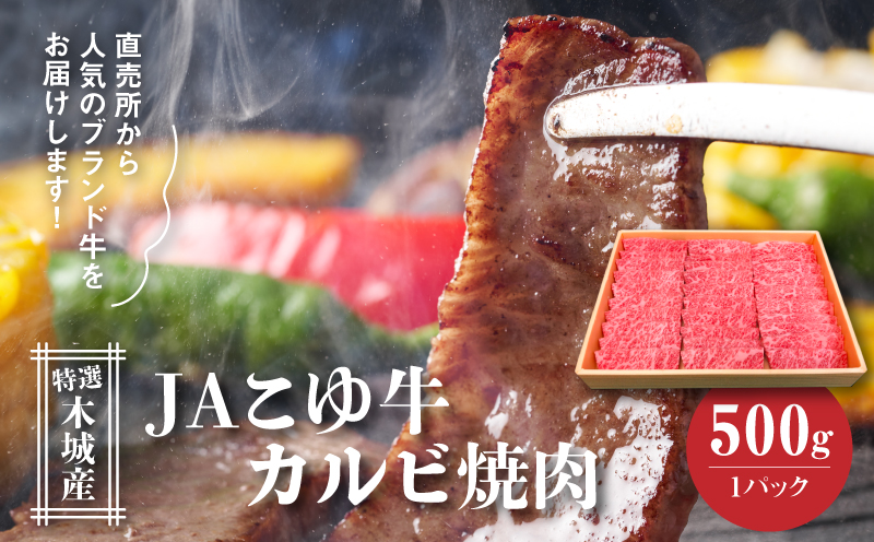 JAこゆ牛 特選木城産 カルビ500g 焼肉用_K56_0006