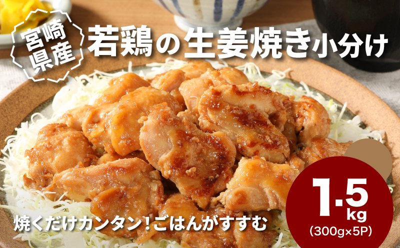 宮崎県産若鶏の生姜焼き 小分け 1.5?_K16_0131_1