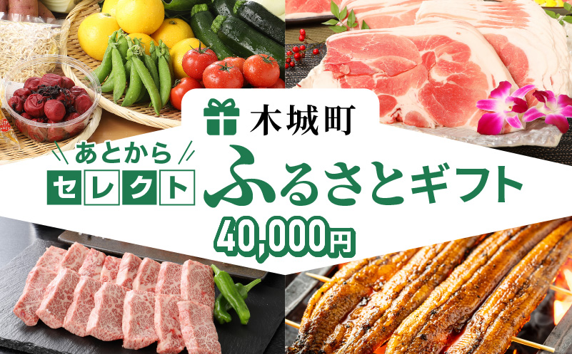 あとからセレクト【ふるさとギフト】４万円 K99-004