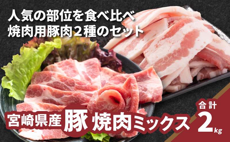 焼肉ミックス(バラ500g×2・肩ロース500g×2)計2?_K16_0120__1