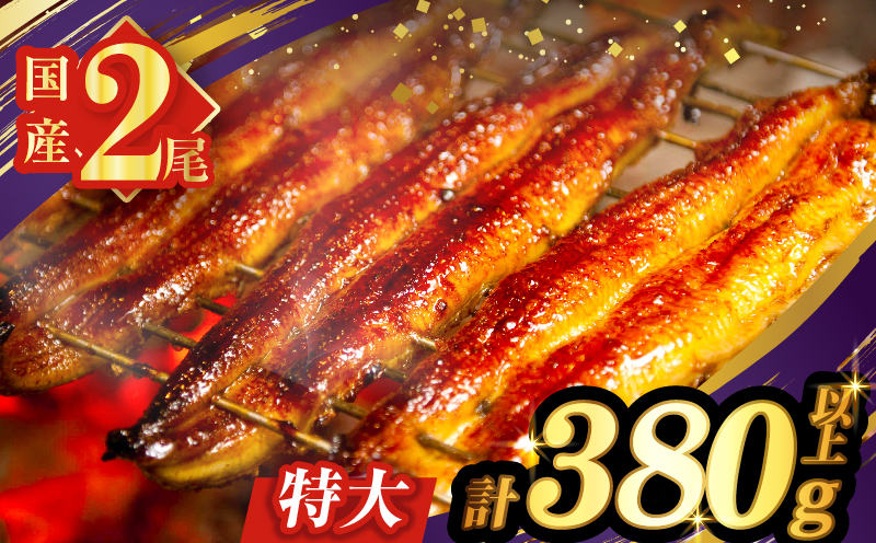 【2週間以内発送・選べる発送・春・夏の丑の日・連続・隔月定期便】うなぎ蒲焼特大2尾(さんしょう・たれ付き)計380g以上
