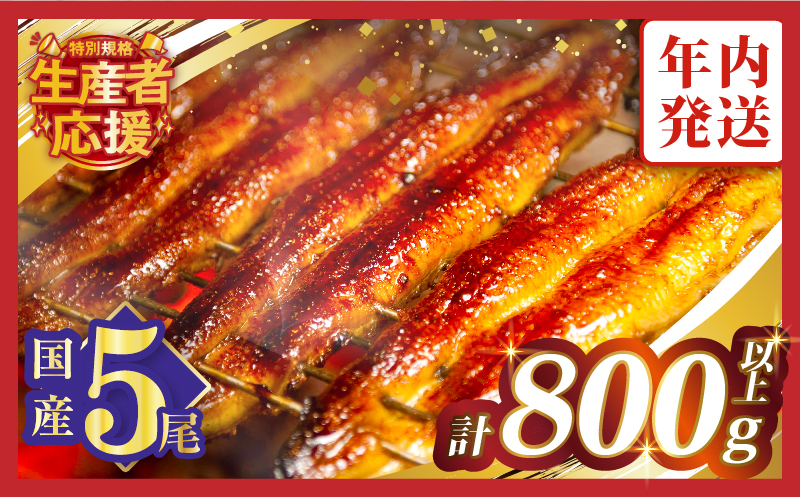 【年内発送】【数量・期間限定 特別規格】うなぎ蒲焼5尾(さんしょう・たれ付き)計800g以上 鰻 魚 魚介 加工品 国産_T026-0032-12