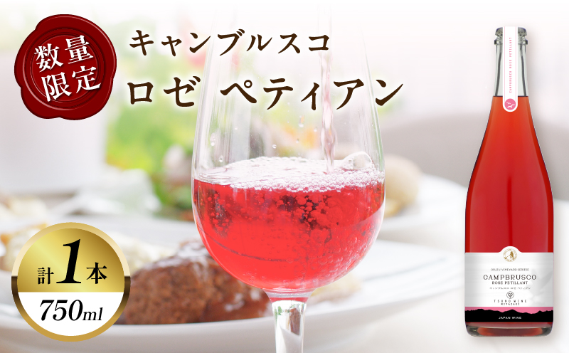 【数量限定】キャンブルスコ・ロゼ ペティアン (計1本) 酒 ワイン アルコール 国産_T014-0195