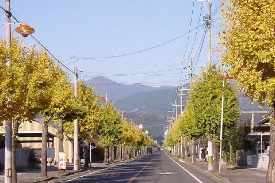 指定なし(町長おまかせ)