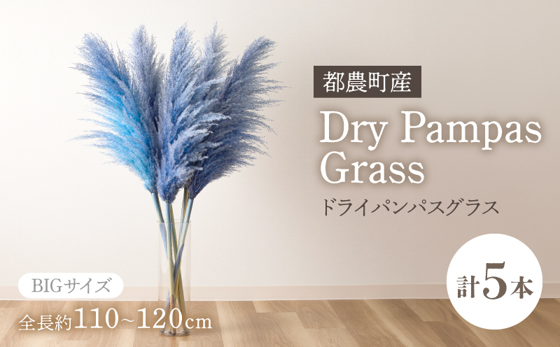 【2週間以内発送】ドライパンパスグラス（ブルー）計5本 すすき インテリア 国産_T057-002