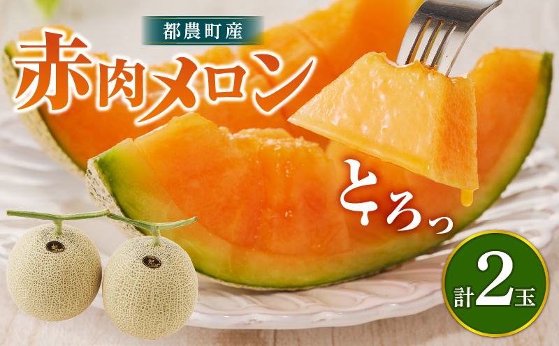 夏用 先行予約≪期間限定≫都農町産「赤肉メロン」計2玉 フルーツ 果物 デザート 国産_T015-0065-N