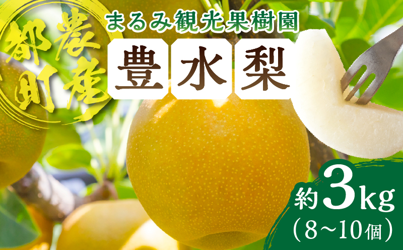 先行予約≪期間限定≫まるみ観光果樹園の『豊水梨』(約3kg) なし 果物 フルーツ 天然 ミネラル栽培_T036-0015