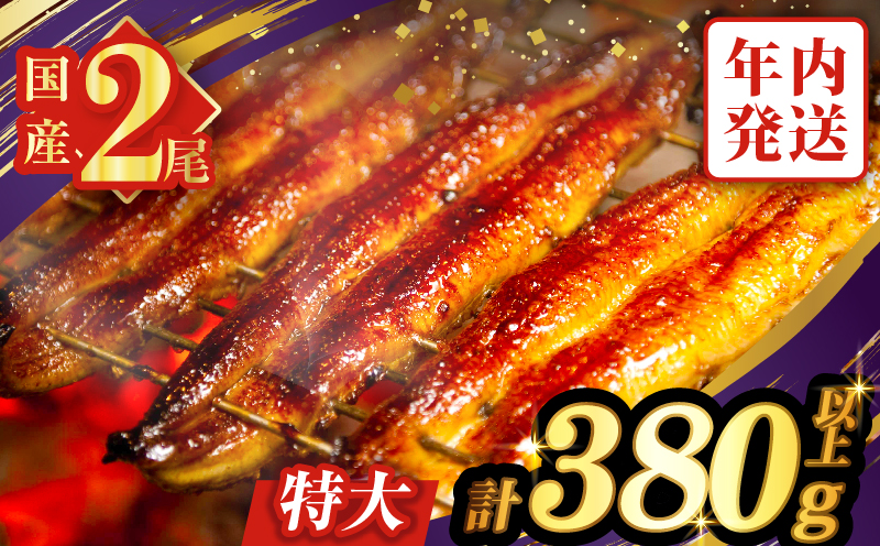 【年内発送】うなぎ蒲焼特大2尾(さんしょう・たれ付き)計380g以上 鰻 魚 魚介 加工品 国産_T026-0061-12