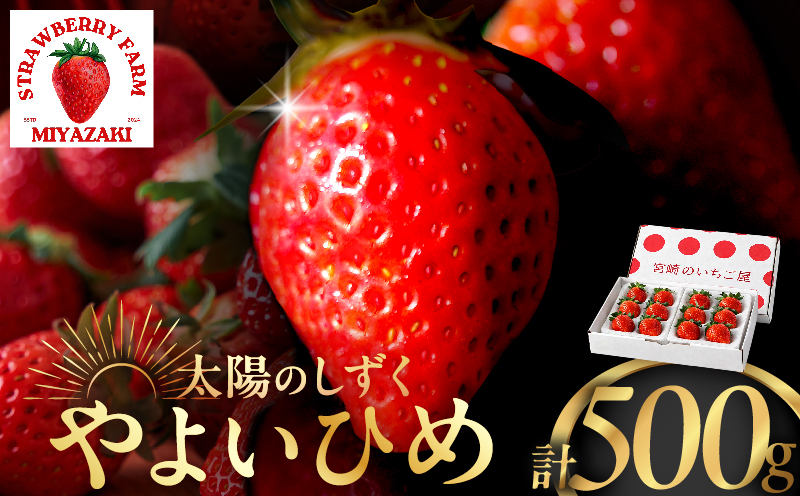 ≪数量限定≫都農町産いちご「やよいひめ」計500g フルーツ 果物 デザート イチゴ 国産_T059-0015