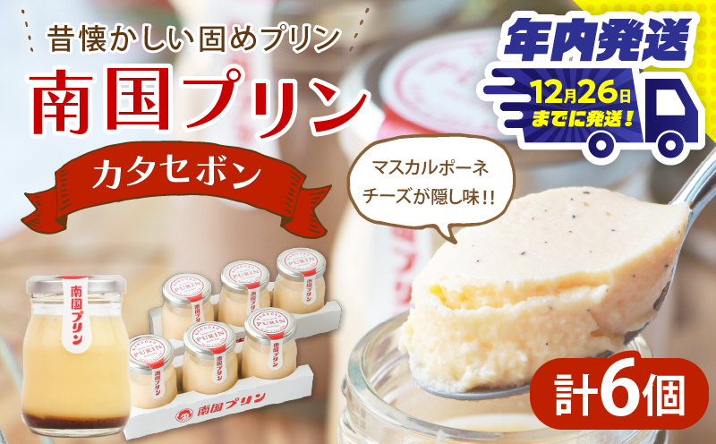 ＼年内発送!!／南国プリン「カタセボン(計6個)」 スイーツ 洋菓子 国産_T038-0021-N