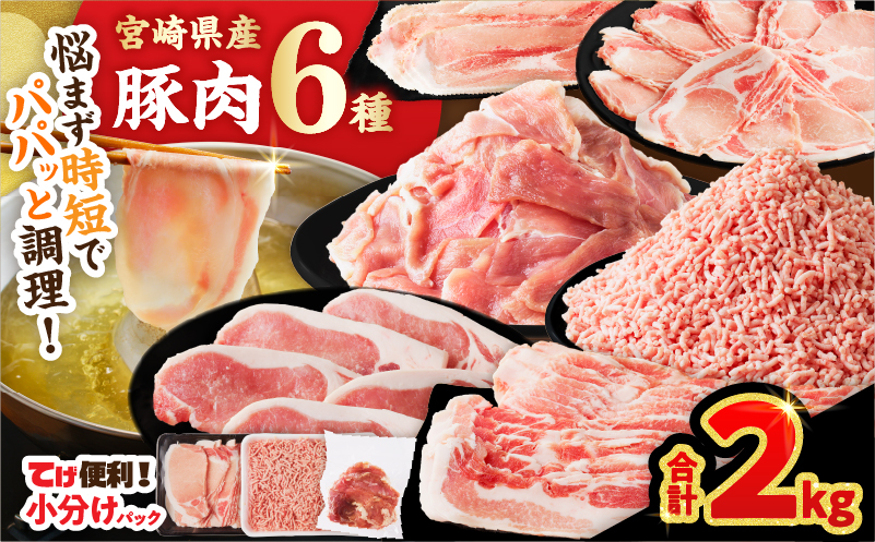 ≪宮崎県産≫豚肉6種＼てげスゲーセット／合計2kg 肉 豚 豚肉 おかず 国産_T009-030