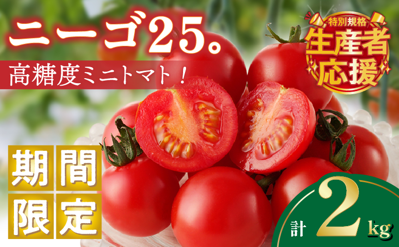 生産者応援!!【期間・数量限定特別規格】高糖度ミニトマト『ニーゴ25。』(計2kg) ミニトマト 野菜 サラダ 国産_T040-0021-ZO