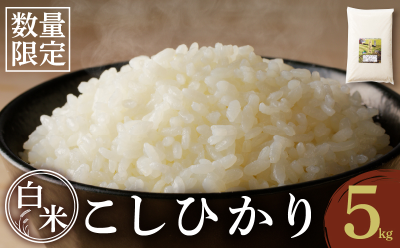 先行予約≪都農町産≫新米コシヒカリ(5kg) 米 お米 ご飯 国産_T031-0015