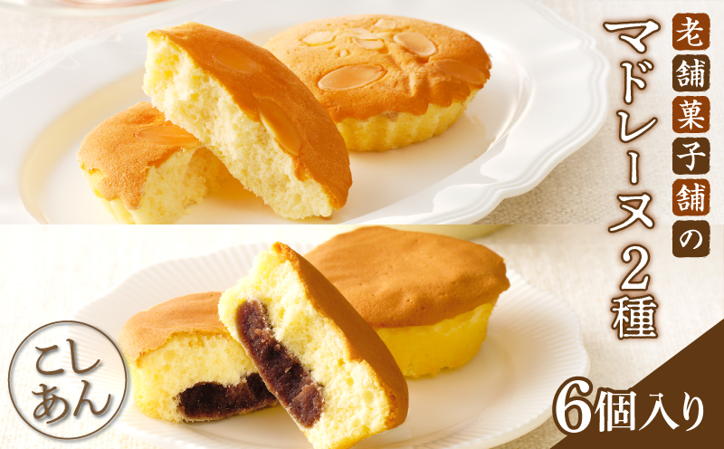 【2週間以内発送】老舗菓子舗のマドレーヌ2種セット「合計6個・個包装」 焼き菓子 スイーツ 詰め合わせ 洋菓子_T035-0206