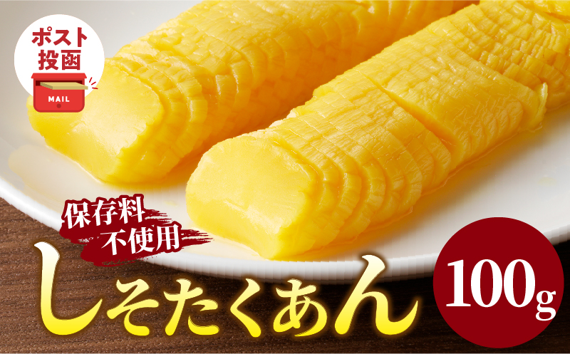 ＼ポスト投函／しそたくあん100g 漬物 おかず 野菜 加工品 国産_T037-0035