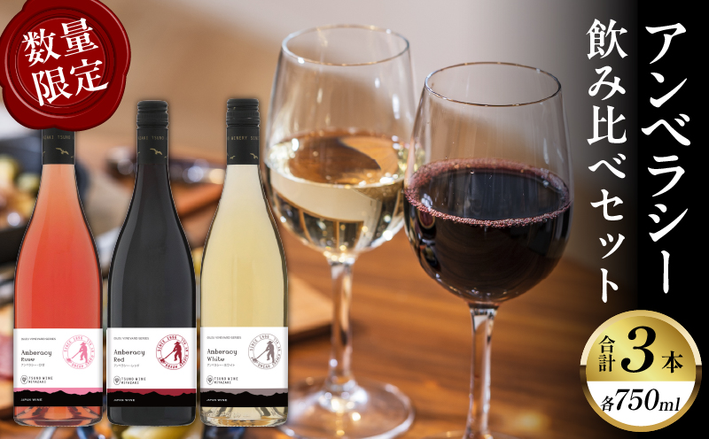 【数量限定】アンベラシー飲み比べ３本セット(レッド・ロゼ・ホワイト) 酒 飲料 アルコール 国産_T014-0095