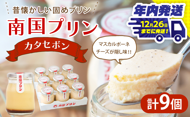 ＼年内発送!!／南国プリン「カタセボン(計9個)」 スイーツ 洋菓子 国産_T038-0031-N