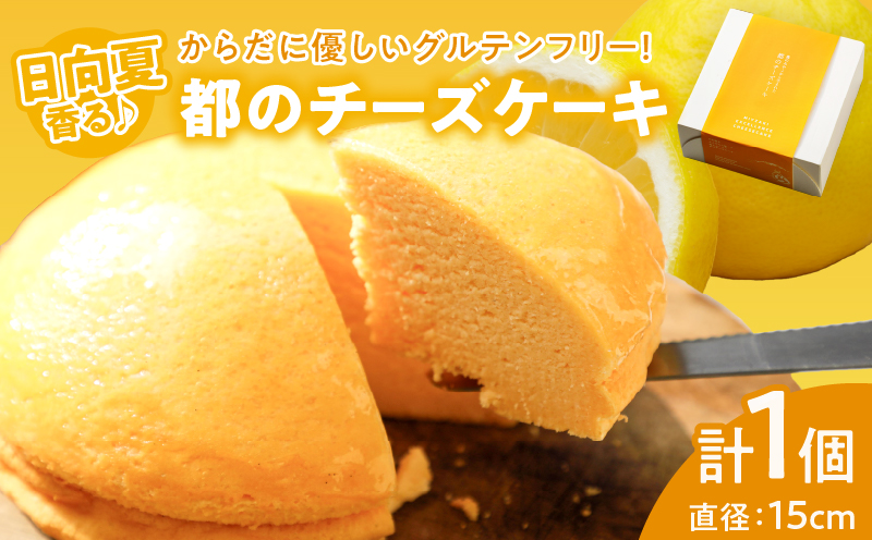 農の都で生まれた「都のチーズケーキ」計1個 スイーツ 洋菓子 国産_T038-009