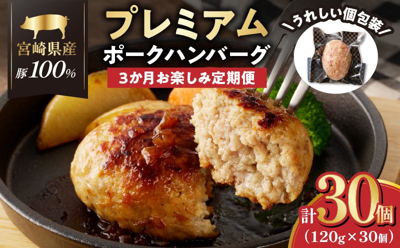 ≪3か月お楽しみ定期便≫宮崎県産豚プレミアムハンバーグ(合計30個) 肉 豚肉 加工品 国産_T001-0175