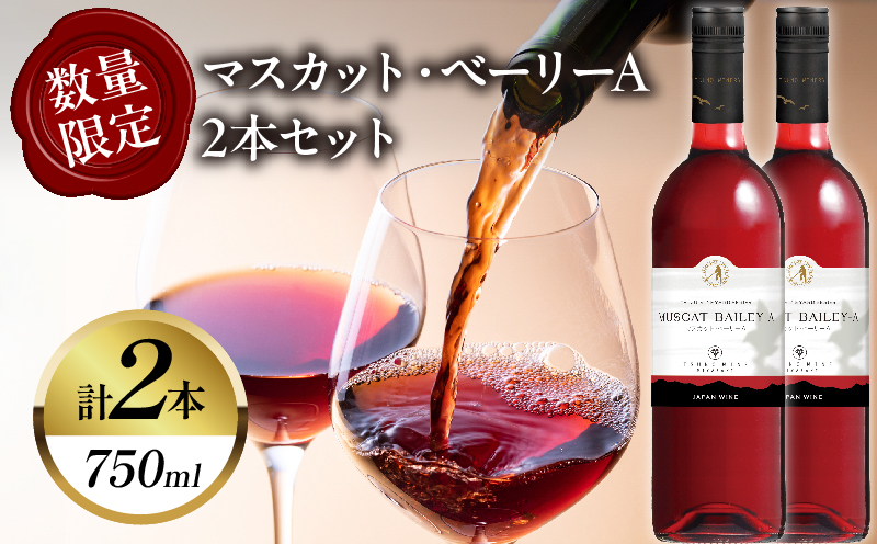 【数量限定】マスカット・ベーリーA 2本セット ワイン 酒 飲料 アルコール 国産_T014-054