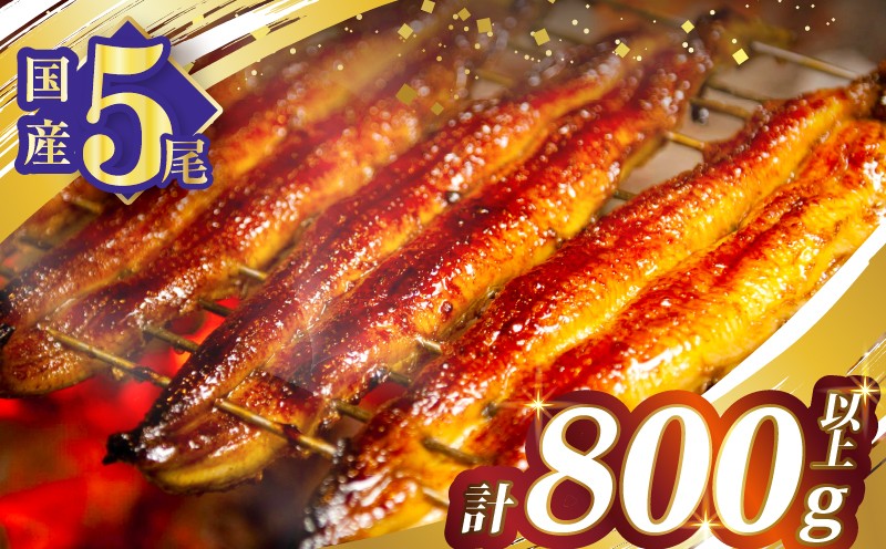 【2週間以内発送】うなぎ蒲焼5尾(さんしょう・たれ付き)計800g以上 鰻 魚 魚介 加工品 国産_T026-0038-2W