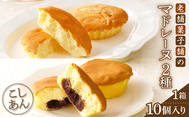 【2週間以内発送】老舗菓子舗のマドレーヌ2種セット(合計10個) 焼き菓子 スイーツ 詰め合わせ 洋菓子_T035-0066