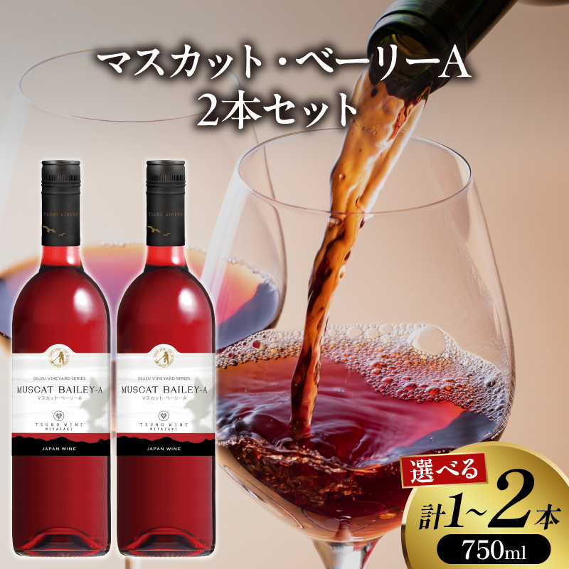 【選べる内容量】 マスカット・ベーリーA 1本 or 2本