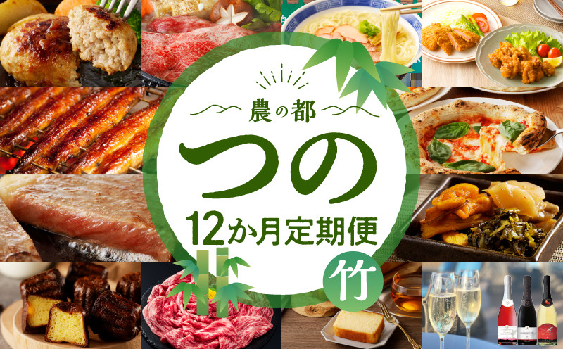 ≪12か月お楽しみ定期便≫都農町定期便(竹) 肉 加工品 デザート 国産_T999-0096