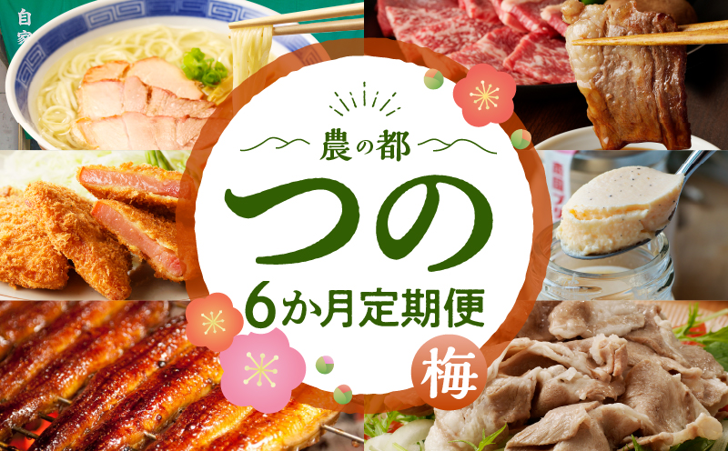 ≪6か月お楽しみ定期便≫都農町定期便(梅) 肉 加工品 デザート 国産_T999-0056