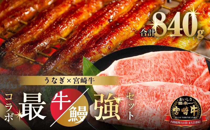 ≪数量限定≫うなぎ×宮崎牛 都農町最強セットA 肉 牛 牛肉 焼肉 国産_T030-1296