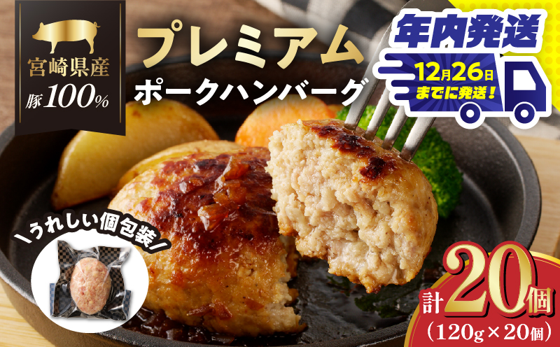 ＼年内発送!!／宮崎県産豚プレミアムハンバーグ(計20個) 肉 豚肉 加工品 惣菜 国産_T001-0121-N