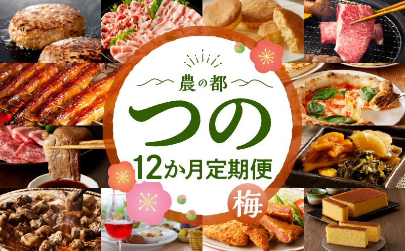 ≪12か月お楽しみ定期便≫都農町定期便(梅) 肉 加工品 デザート 国産_T999-0086