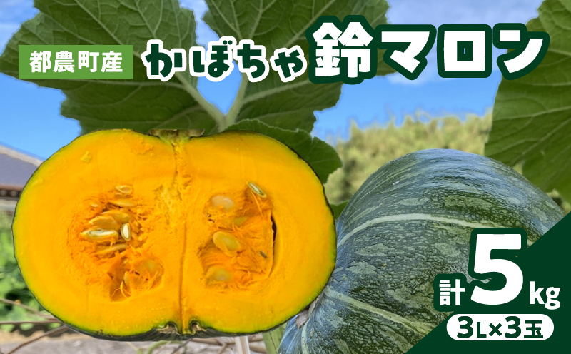 先行予約≪期間限定≫都農町産かぼちゃ 「鈴マロン」計5kg カボチャ 野菜 旬 サラダ 国産_T015-0075