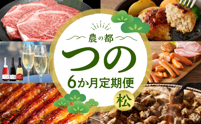 ≪6か月お楽しみ定期便≫都農町定期便(松) 肉 加工品 鰻 国産_T999-0076
