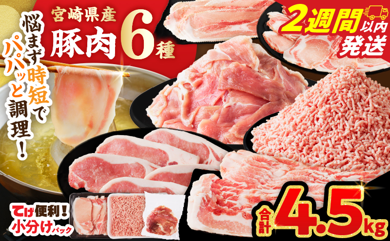【2週間以内発送】≪宮崎県産≫豚肉6種＼てげスゲーセット／合計4.5kg 肉 豚 豚肉 おかず 国産_T009-0325-2W