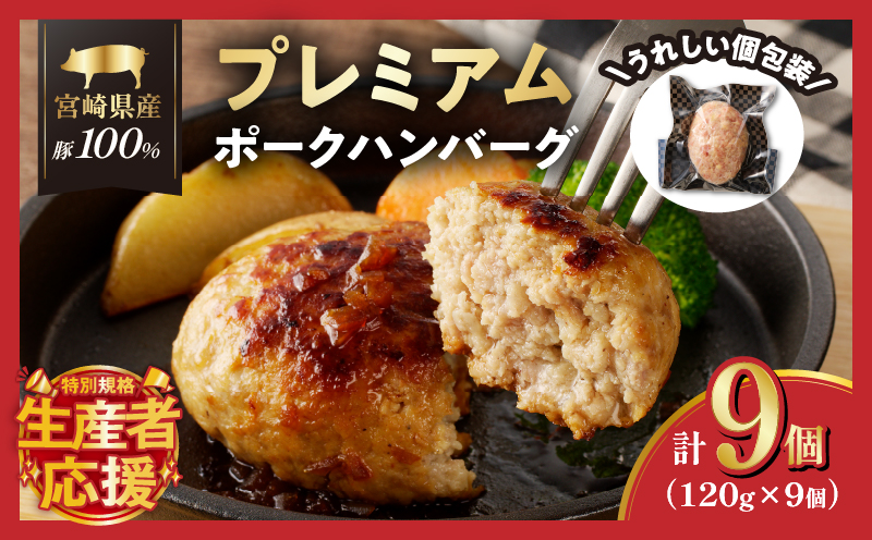 生産者応援!!【期間・数量限定特別規格】宮崎県産豚プレミアムハンバーグ(計9個) 肉 豚肉 加工品 惣菜 国産_T001-0091-ZO