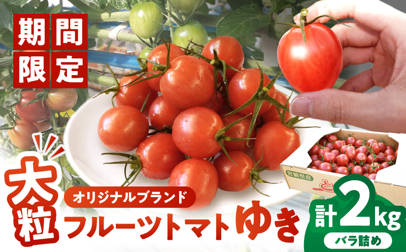 先行予約≪期間限定≫オリジナルブランド「フルーツトマト ゆき」計2kg ミニトマト 野菜 サラダ 国産_T047-0041