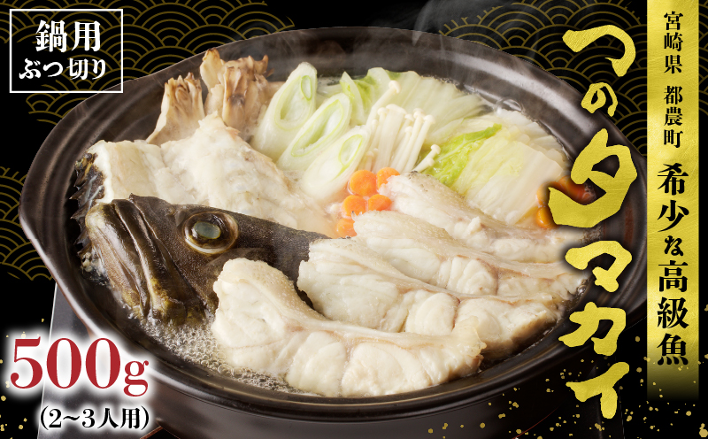 都農町産「つのタマカイ(鍋用・ぶつ切り)2〜3人前」計500g 魚 魚介 養殖 希少 国産_T012-001